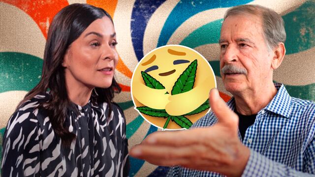 Ana Elizabeth García Vilchis contra Vicente Fox
