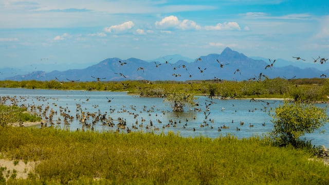 Tecuala, Nayarit