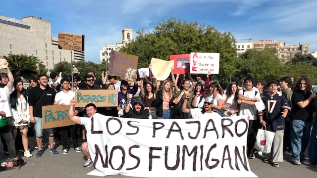 Manifestación Los pájaros no existen