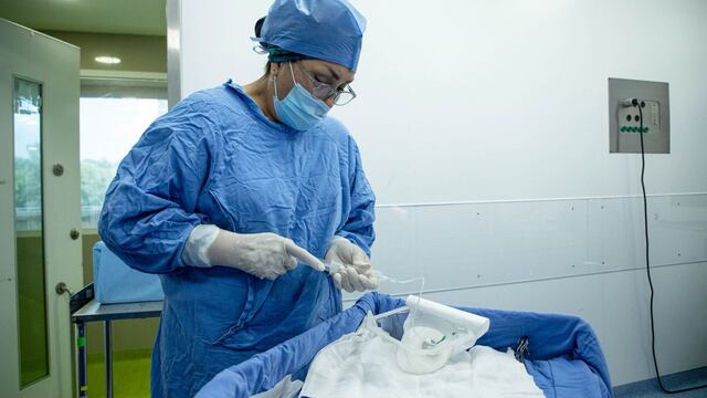 Trabajo en el Gobierno de México: Abren convocatoria para programa Salud Casa por Casa y esto necesitas