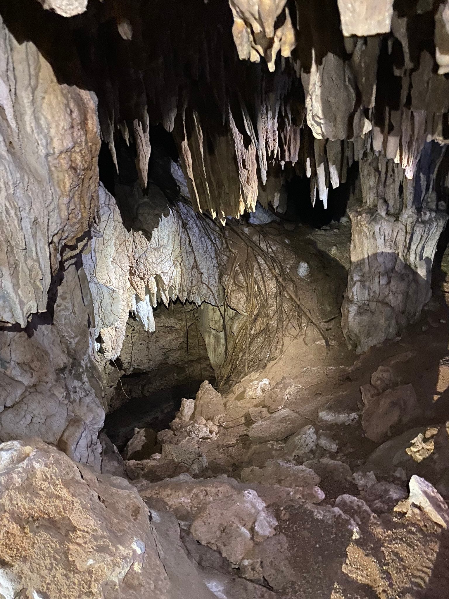 Caverna del Tramo 5 del Tren Maya