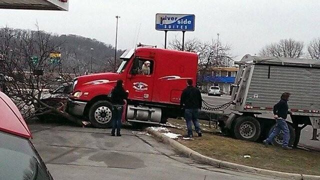 Perro choca un camión.