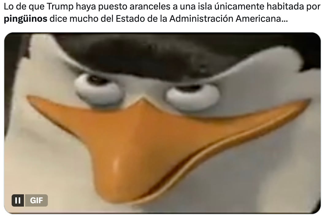 Los memes sobre los aranceles a pingüinos por Donald Trump