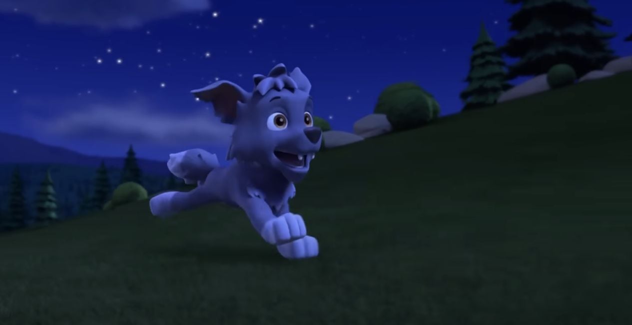 Rocky sueña que es un cachorro lobo salvaje con Paw Patrol