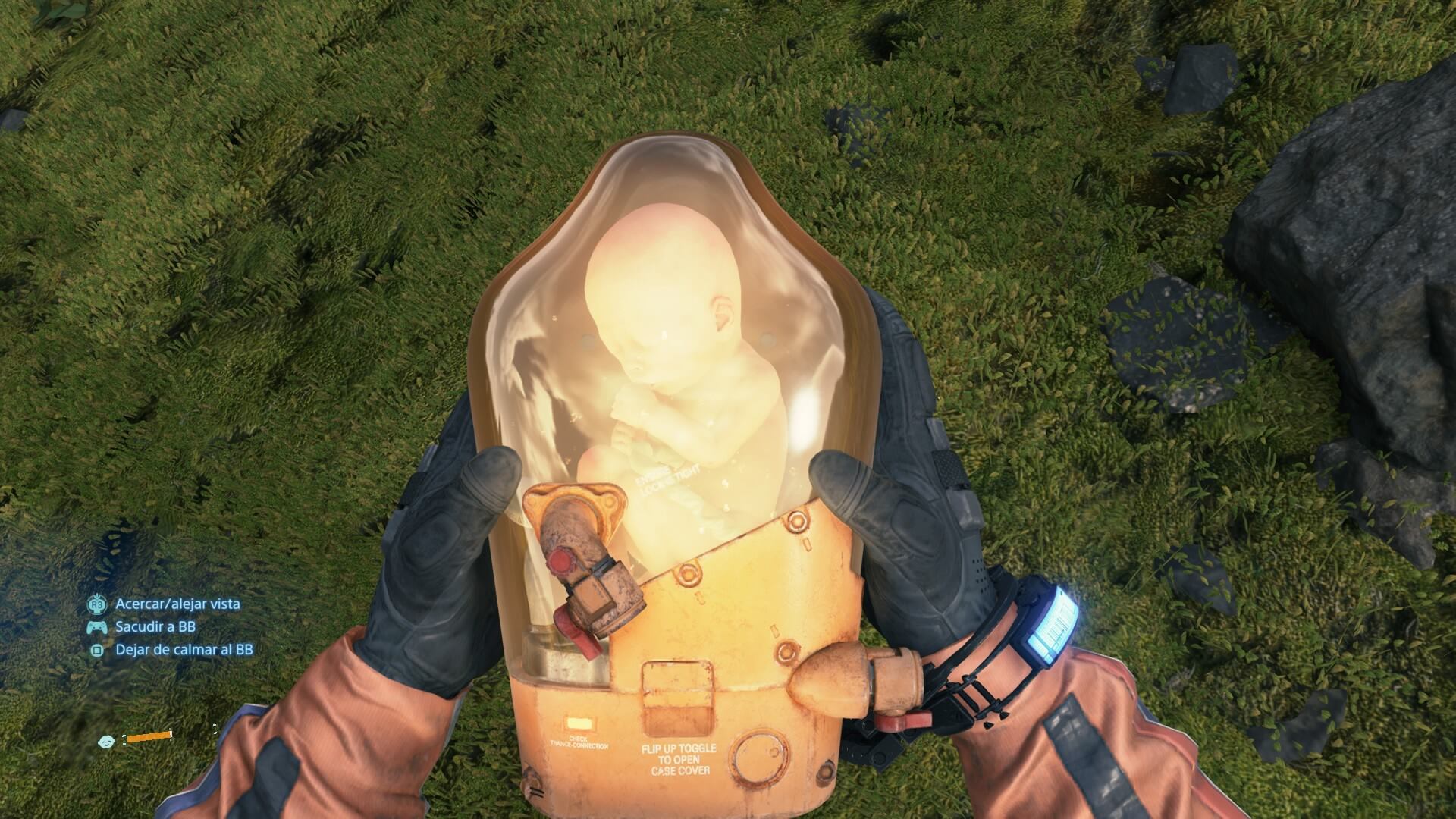 BB
