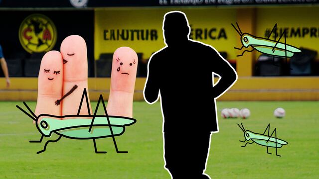 ¿Sin equipo por Chapulín?