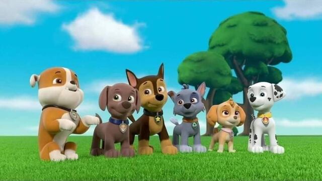 Paw Patrol Primavera