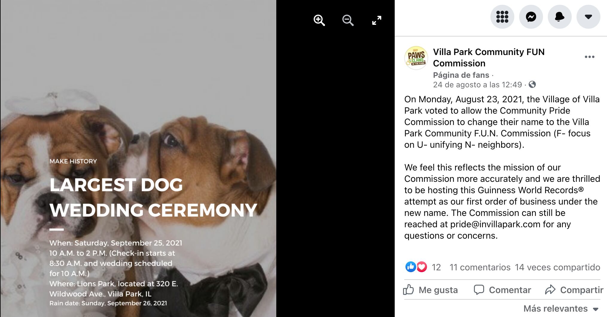 Boda perruna en Chicago