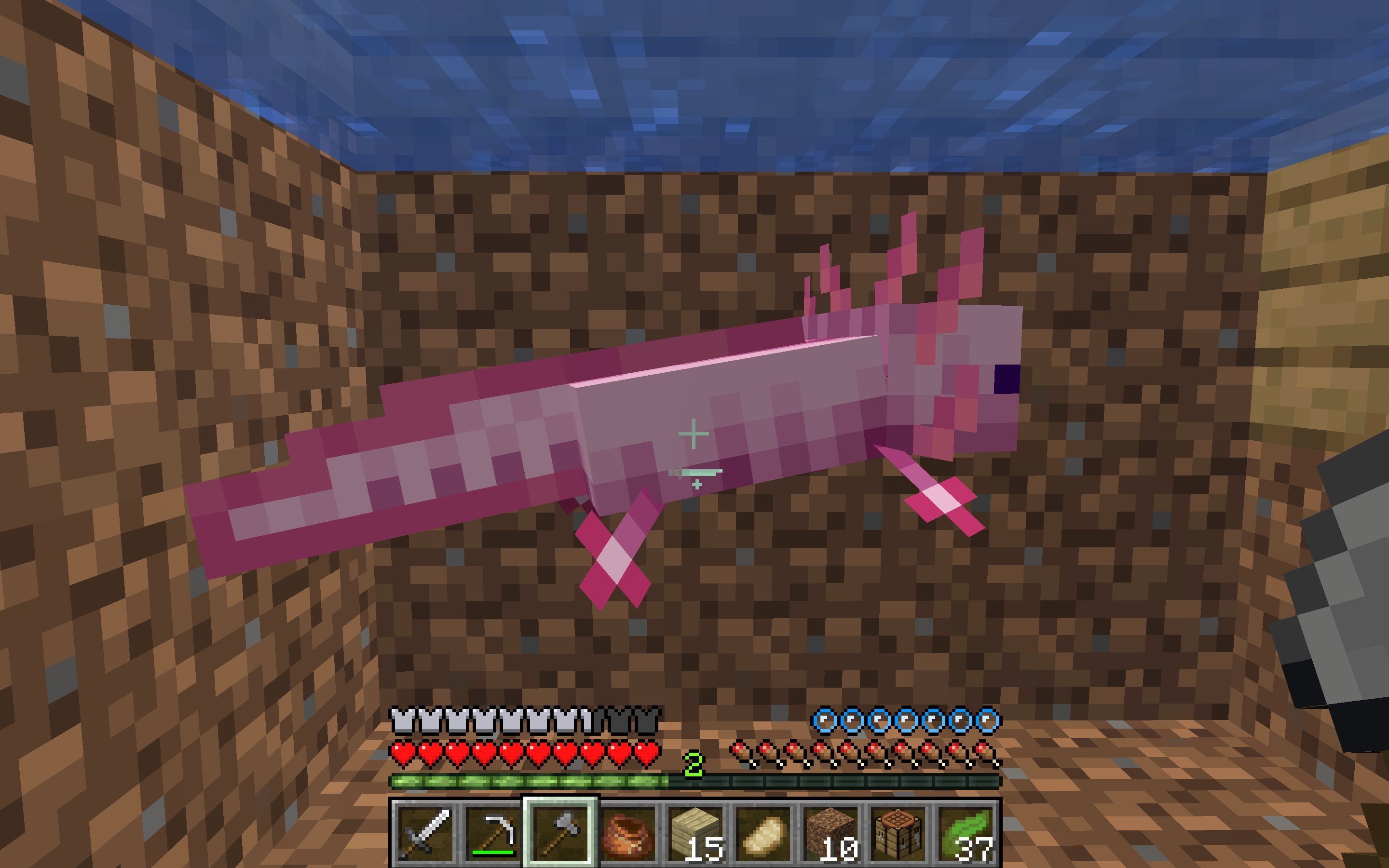Ajolote de Minecraft