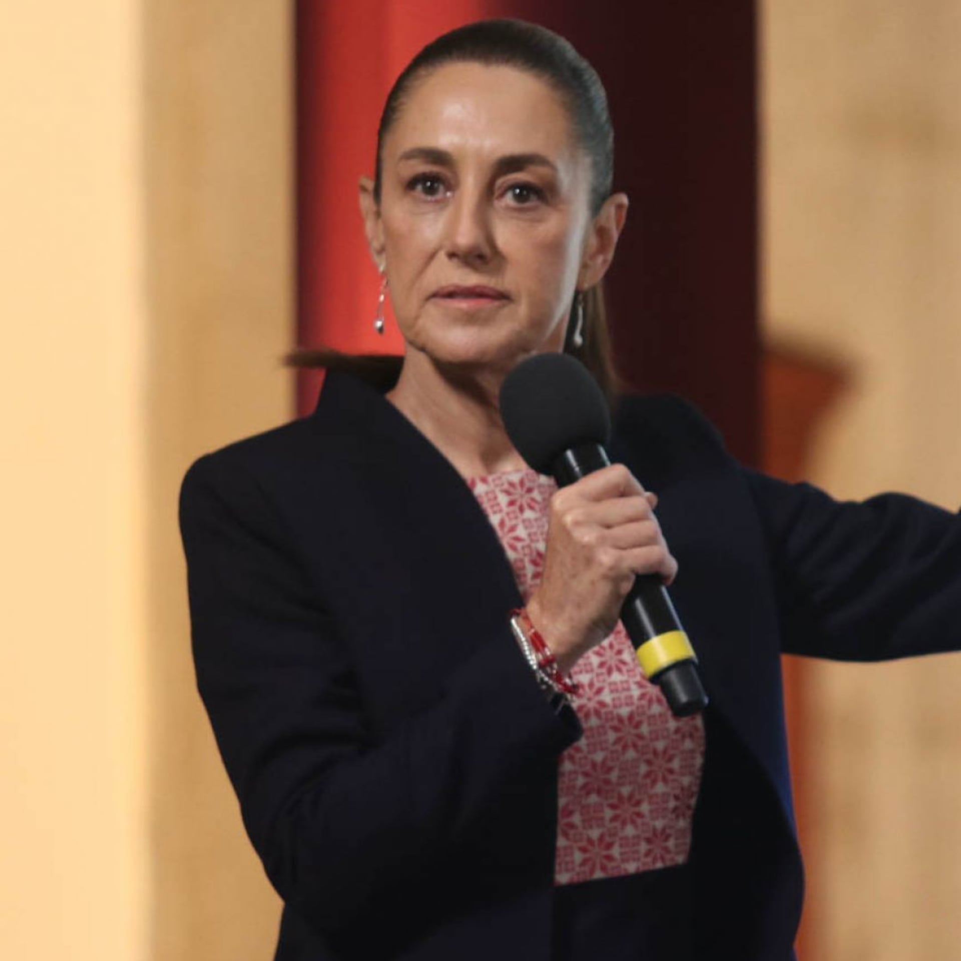 Reforma electoral: la última batalla de Claudia