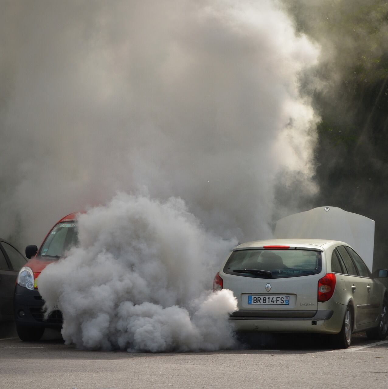 Gases de autos alteran funcionamiento del cerebro