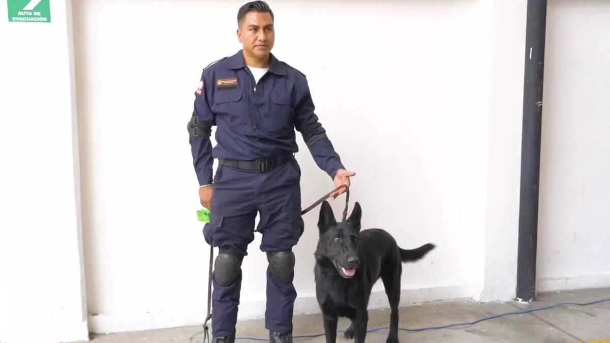 Clara Brugada presume a primeros binomios caninos del Cuerpo de Bomberos de la CDMX