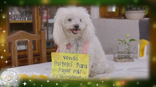 La Rosa de Guadalupe: ¿De qué trata “Lucecita”?