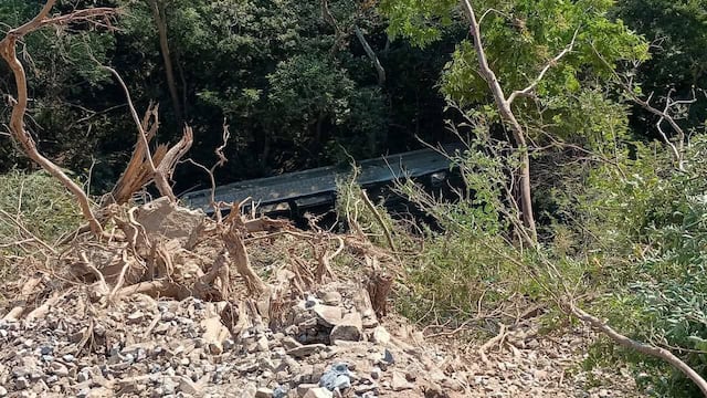 Tren Interoceánico se descarrila en Oaxaca con 241 pasajeros