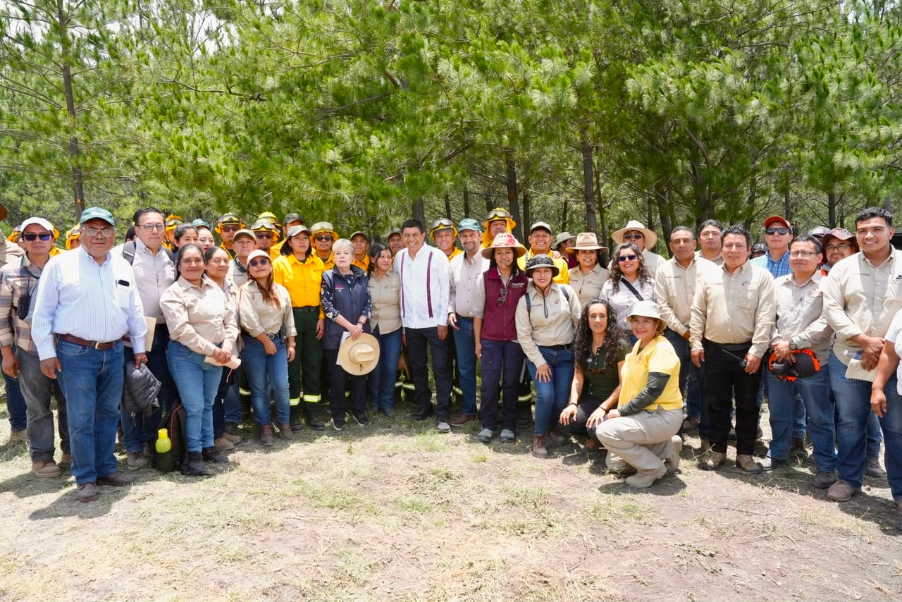 Salomón Jara y Alicia Bárcena reafirmaron acciones de reforestación y restauración forestal en Oaxaca.