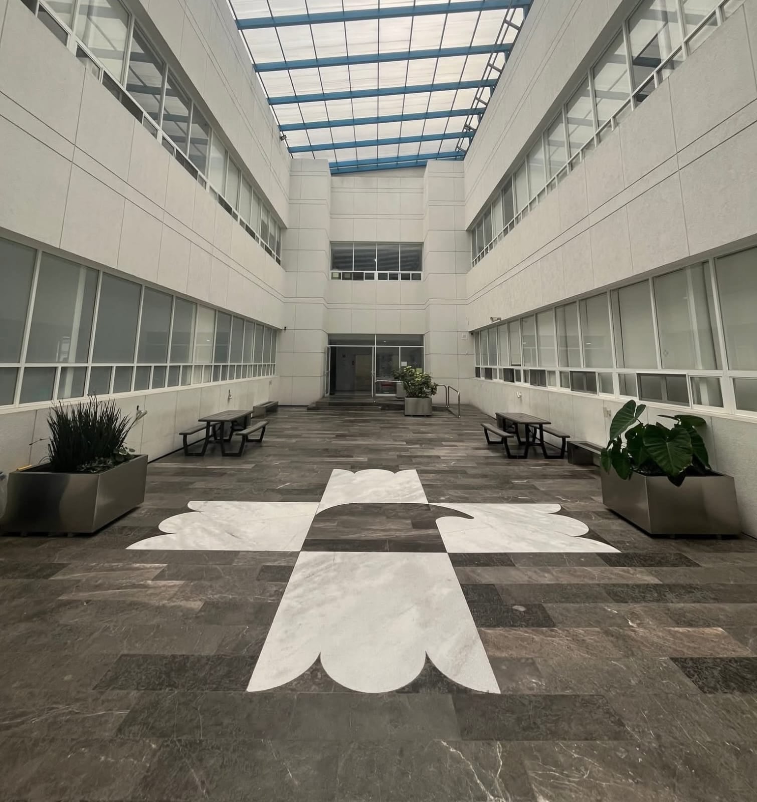 Hospital General de México marca precedente en cirugías sin transfusiones con nuevo modelo de sangre.