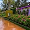 Clara Brugada inaugura el Jardín Flotante Tlallipan, primera Utopía peatonal en CDMX