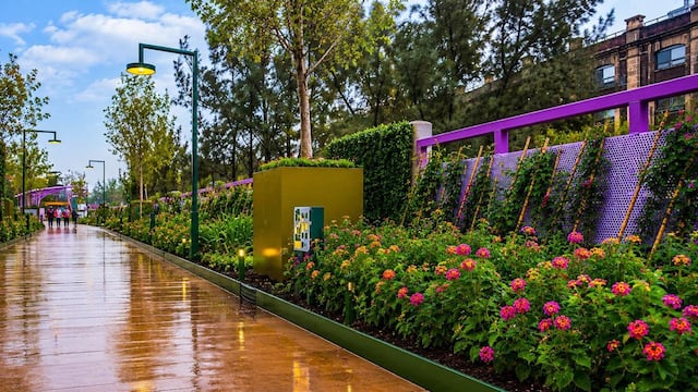 CDMX estrena Jardín Flotante Tlallipan, la primera Utopía peatonal sobre Tlalpan.