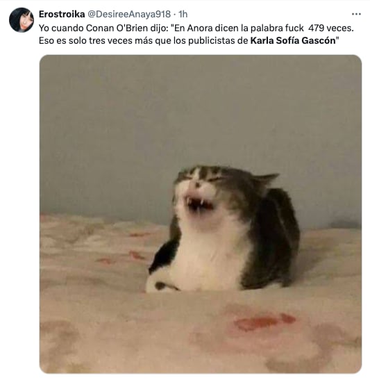 Meme Karla Sofía Gascón