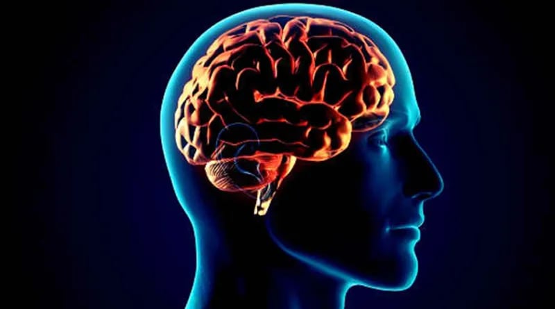 ¿Qué es muerte encefálica? De esto murió la quinceañera que donó sus órganos en Aguascalientes