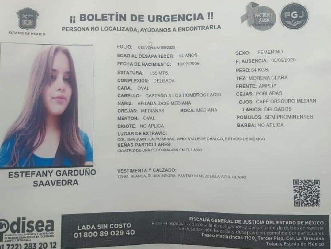 Ficha de búsqueda de Estefany