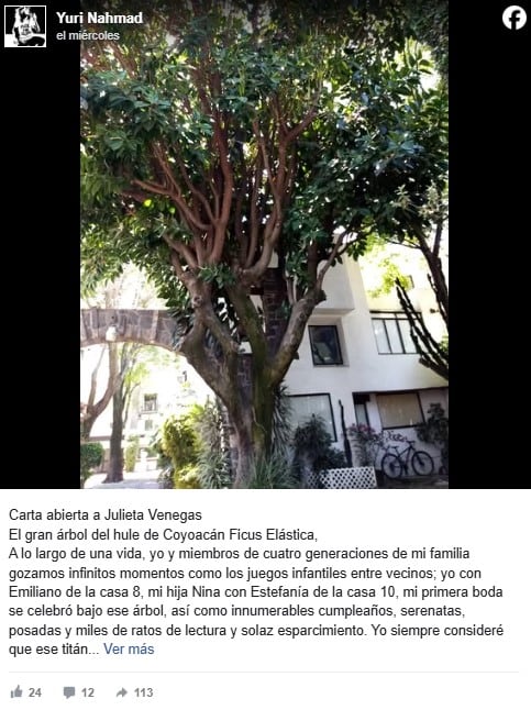 Julieta Venegas acusada de ecocidio tras tala de árbol en Coyoacán