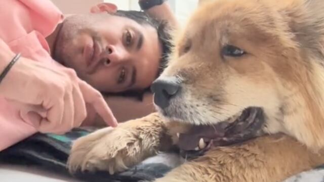 TikToker comparte los últimos con su perrita