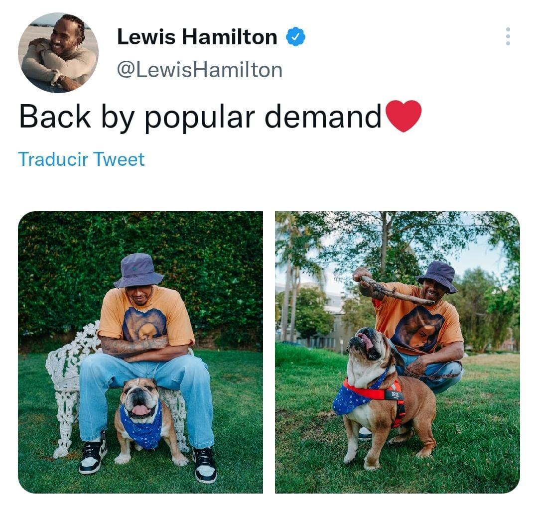 Mascota de Hamilton