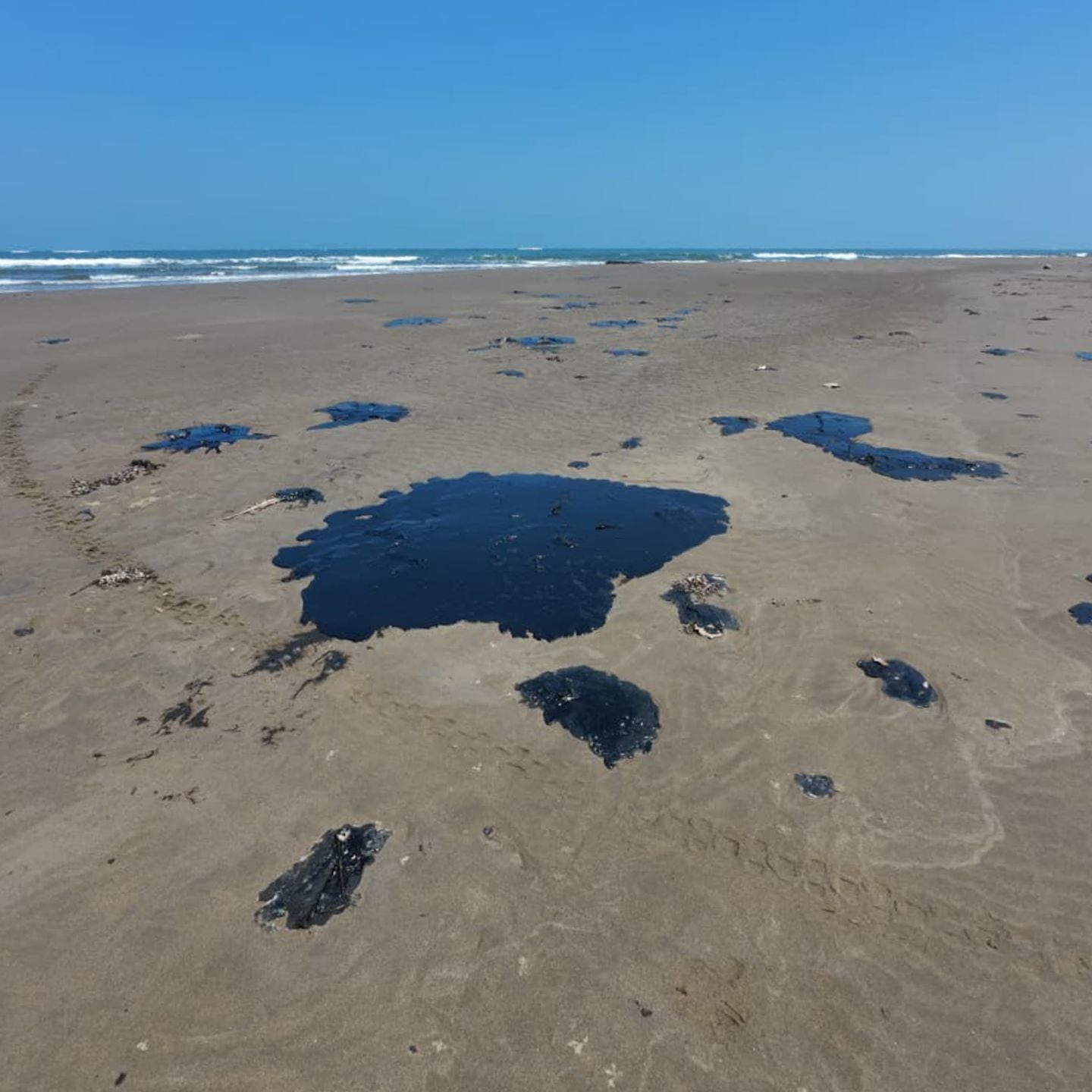 Más de 25 mil pescadores resultaron afectados por derrame de hidrocarburos