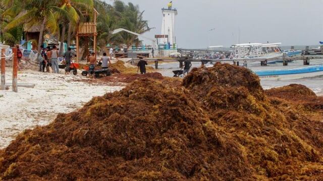 Nadie debe olvidar que tanto el gobierno de Carlos Joaquín como los municipales de la costa quintanarroense advirtieron los riesgos en tiempo y forma