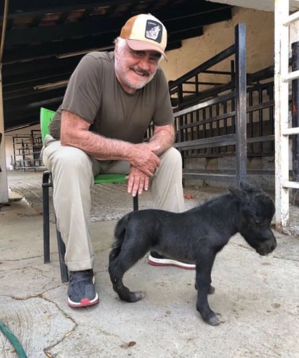 Vicente Fernández y su 'caballo miniatura'.