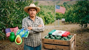 Estados Unidos retoma actividades en Michoacán y da esperanza al aguacate mexicano