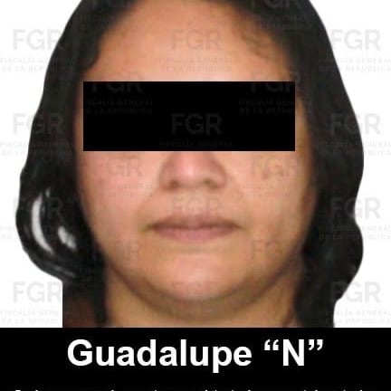 ¿Quién es Guadalupe Hernández Hinojosa? Apoderada legal de Ingemar