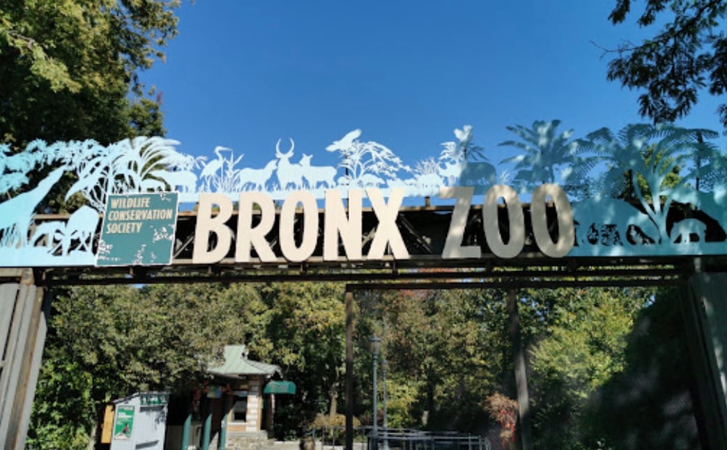 Zoológico del Bronx