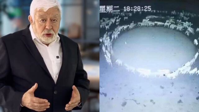 Jaime Maussan, conducta rara de animales