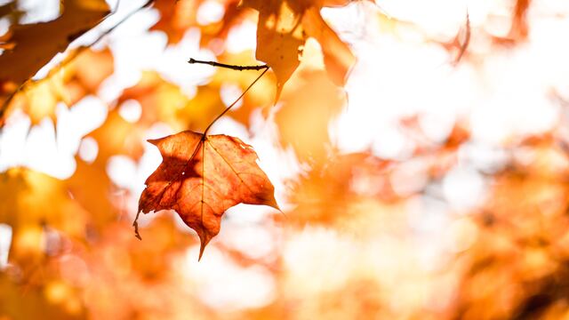 Otoño