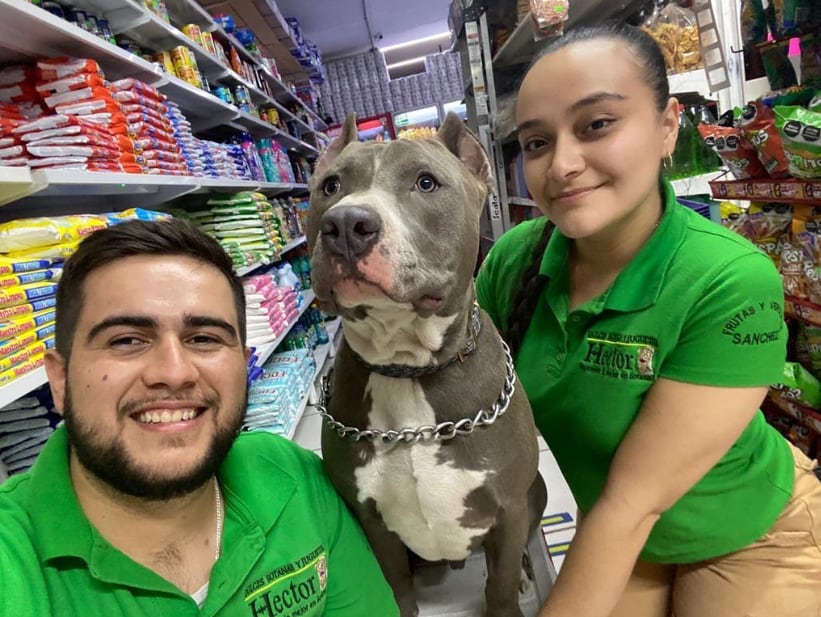 'Anubis', el perrito de la tienda