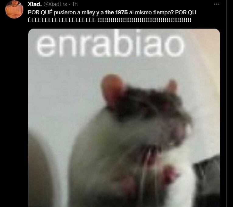 Memes del Corona Capital 2022