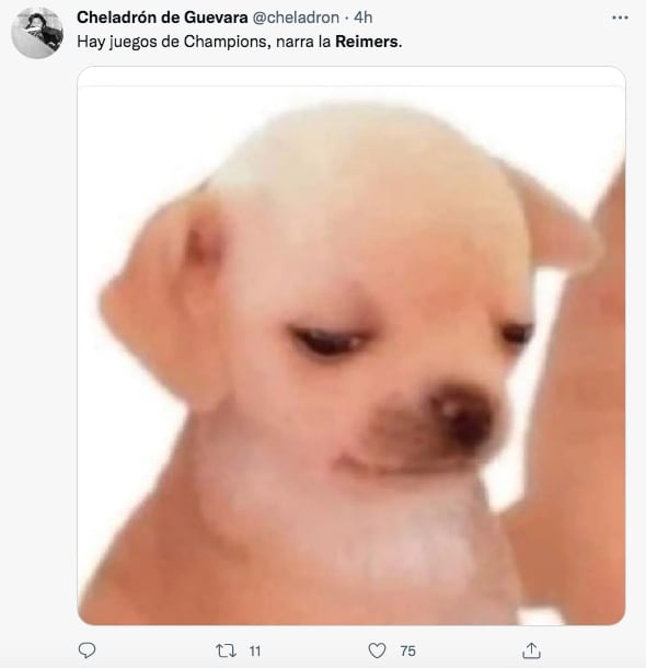 Memes de Marion Reimers