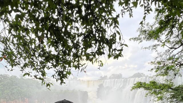 Publicación de Angelique Boyer