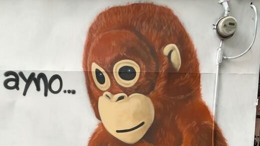 El meme "Ajá-Ayno" ya tiene mural