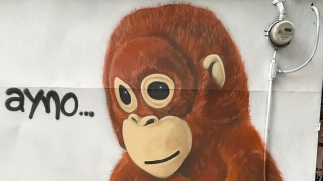 Mural del meme 'ajá-ayno'