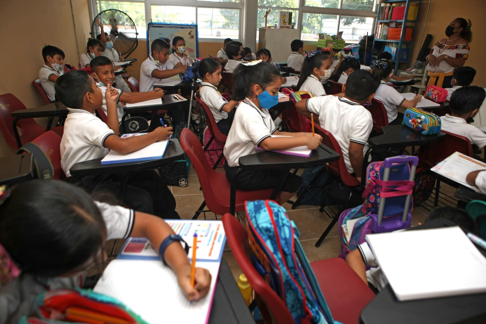 Alumnos de primaria