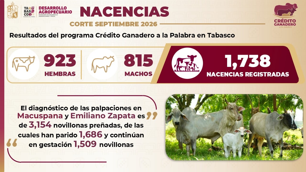 Autoridades de Tabasco anuncian reactivación de producción pesquera