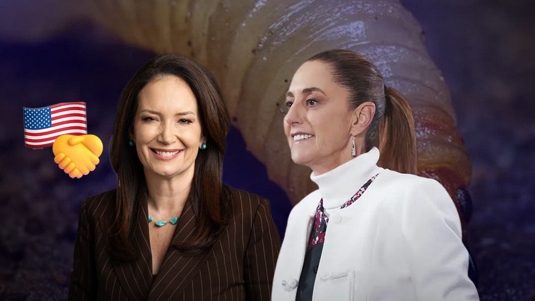 Estados Unidos llama “aliada extraordinaria” a Sheinbaum por combate al gusano barrenador