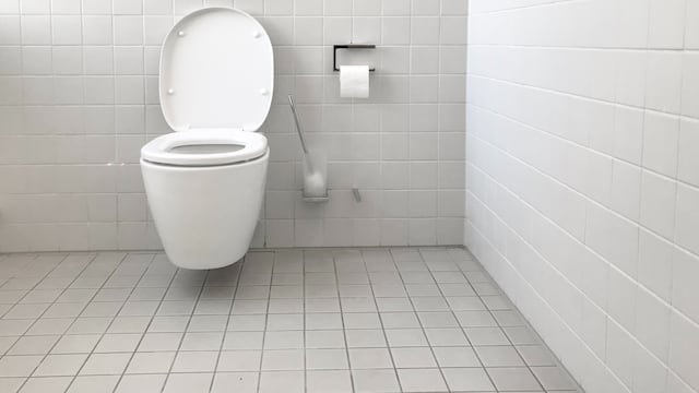 ¿Qué significa soñar con popó humano en una taza del baño?