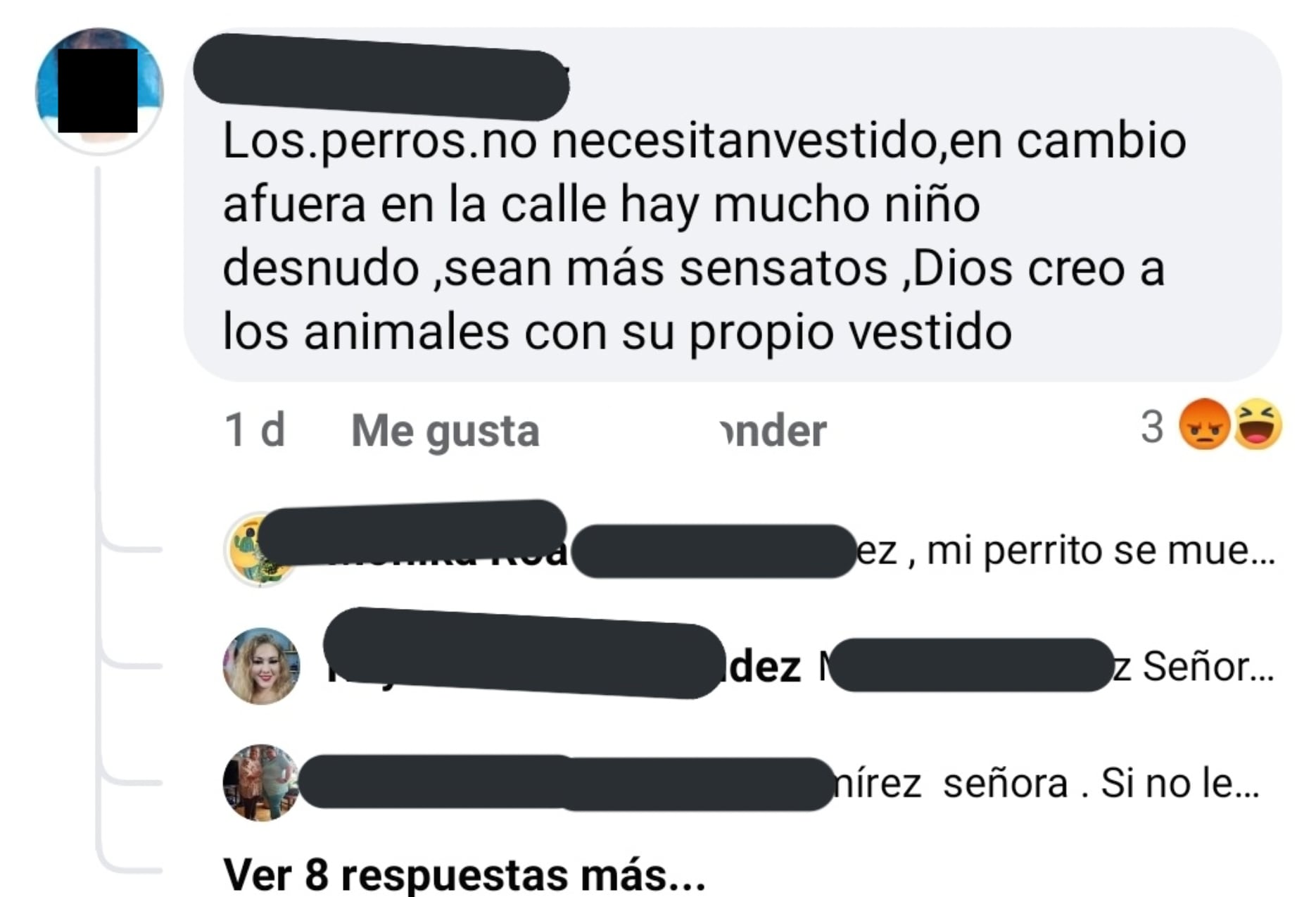 Críticas por vestir a su perro