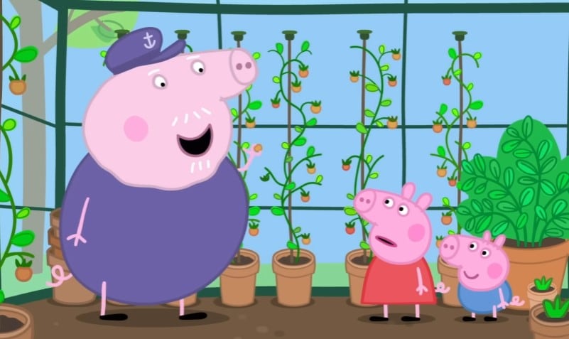 Peppa Pig cultiva tomates