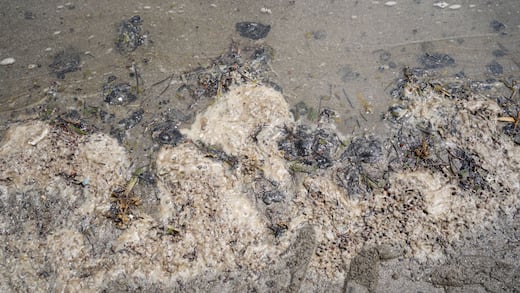 Red Corredor Arrecifal convoca protestas por derrame de hidrocarburos