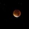Próximo eclipse lunar 2023: ¿Cómo y cuándo ver el eclipse penumbral de mayo?
